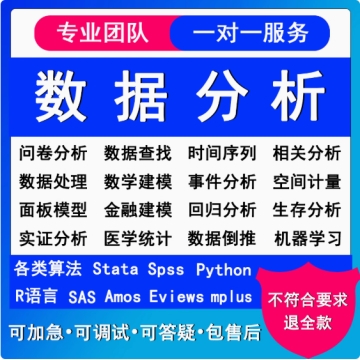 spss数据分析stata实证R代做python医学统计amos调整问卷调查服务